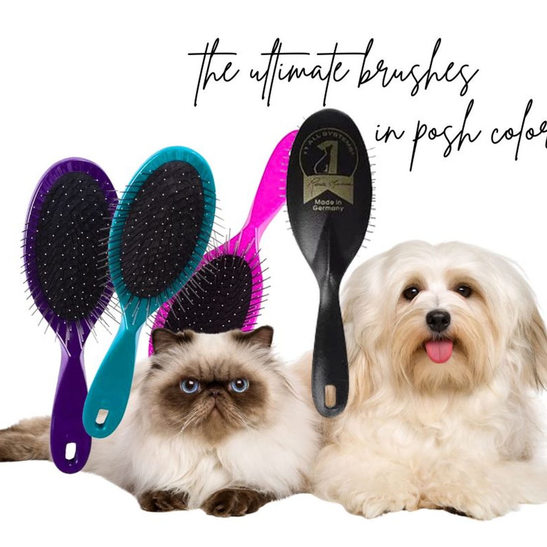 Black, teal, purple, and hot pink #1 All Systems Ultimate Pin Brushes