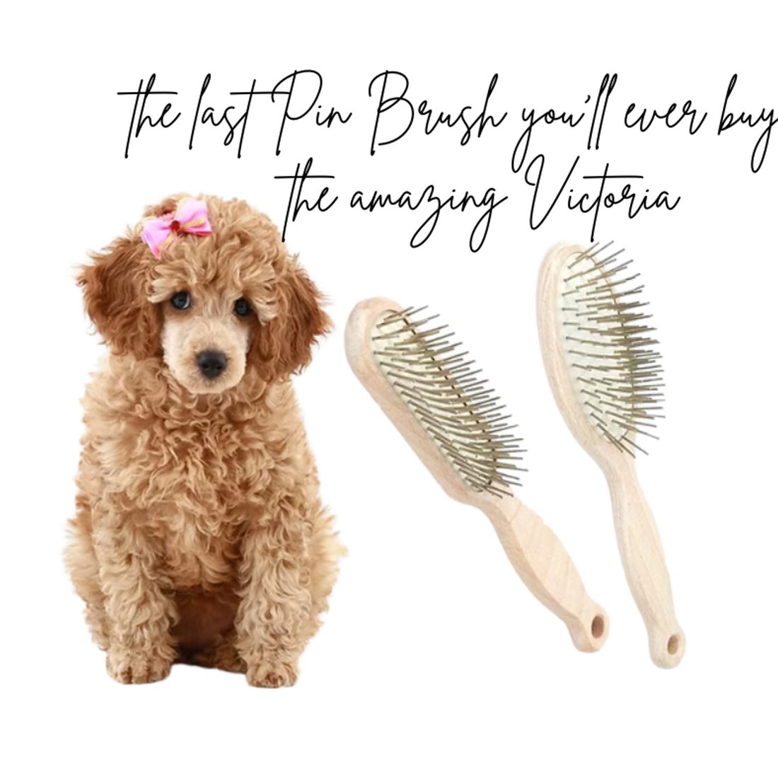 Two wood pin brushes beside a cream doodle, the Victoria brush from the shop